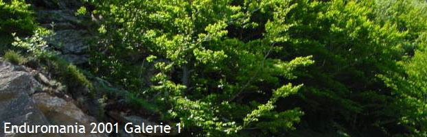 Enduromania 2001 Galerie 1