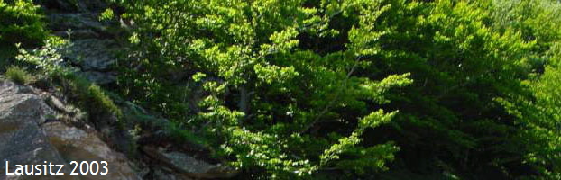 Lausitz 2003