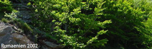 Rumaenien 2002
